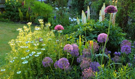 jardin paysager avec fleurs vivaces et bulbes