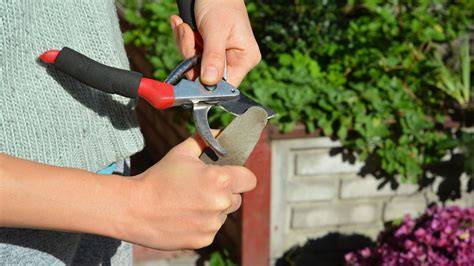 jardinier utilisant un sécateur pour entretenir des fleurs rouges
