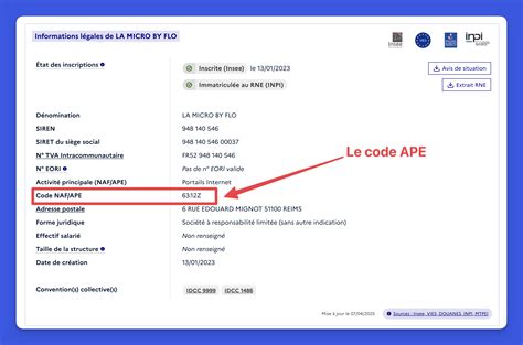 Infographie présentant les étapes d'immatriculation d'une entreprise au RNE et l'importance du code APE pour le secteur environnemental
