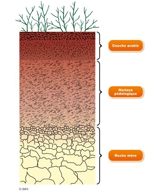 Schéma illustrant les différentes couches d'un sol paillé en automne