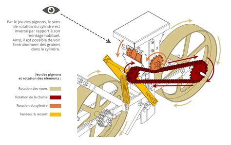 Illustration d'un semoir manuel sur un terrain préparé