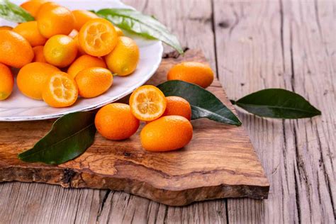 Kumquat entouré de lavande