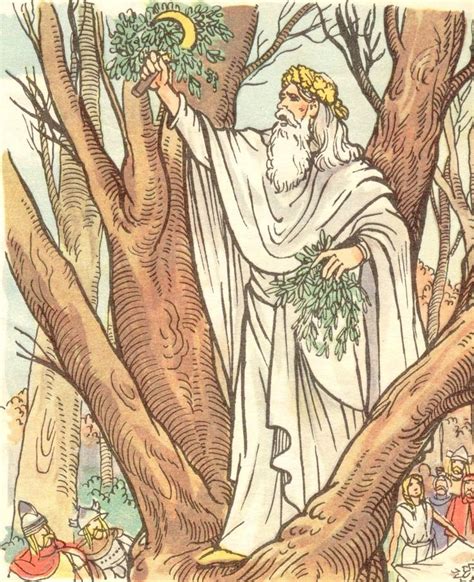 Représentation d'un druide cueillant du gui avec une serpe
