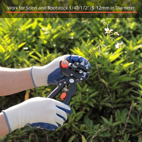 Outils de taille de jardin désinfectés