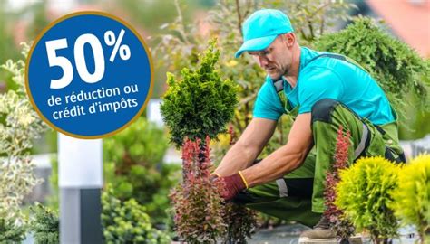 Infographie des services de jardinage éligibles au CESU