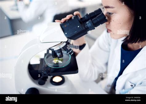Microscope analysant un échantillon de compost