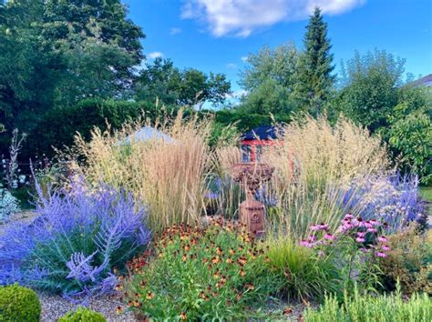 Exemple d'association de Miscanthus dans un massif