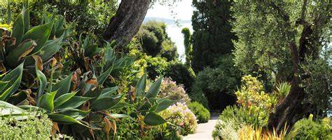 Vue panoramique d'un jardin méditerranéen soigné à Trèbes avec des oliviers et des plantes fleuries