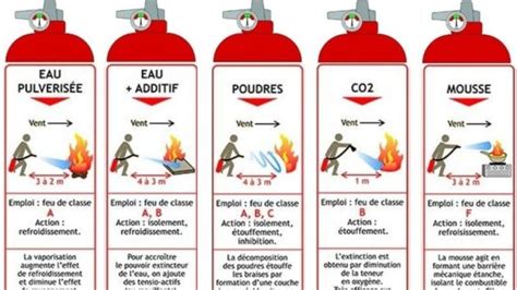 Infographie sur les différents types de fumiers et leurs usages