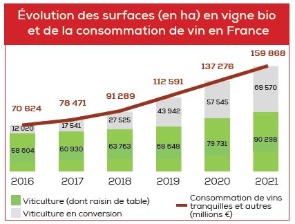Graphique illustrant la progression des surfaces en maraîchage biologique en France sur la dernière décennie