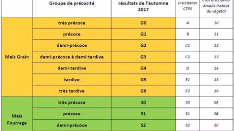Infographie sur les différents groupes de précocité du maïs