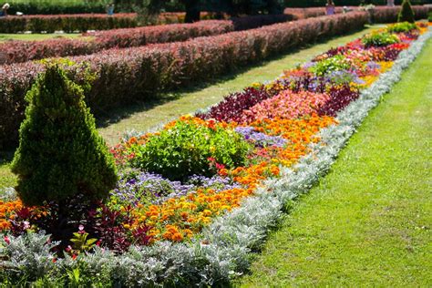 Jardinier entretenant un parterre de fleurs