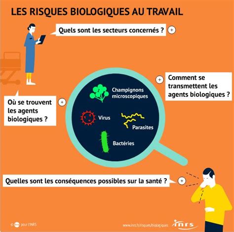 Infographie présentant des solutions biologiques et permacoles pour la lutte contre les limaces