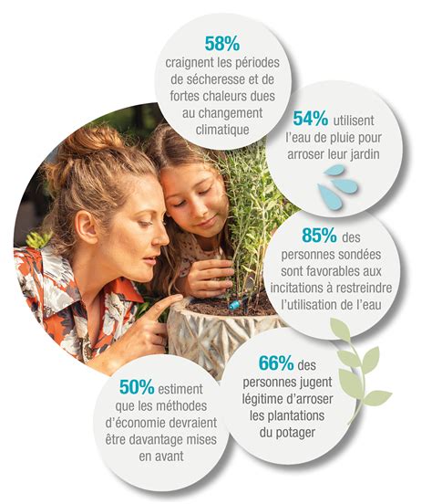 Image illustrant les économies d'eau grâce aux pelouses hybrides