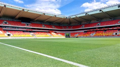 Vue rapprochée de la pelouse hybride du stade Gaston-Petit
