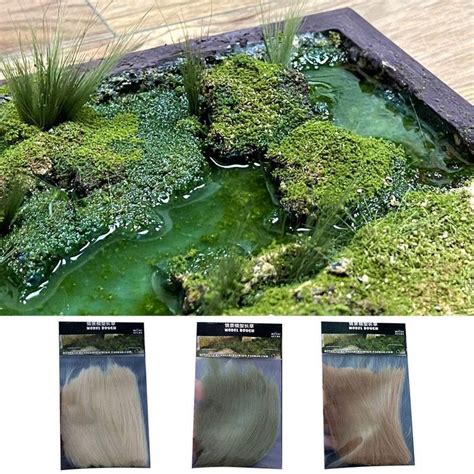 Diorama avec différents types d'herbe statique