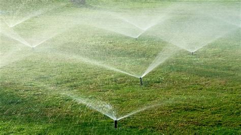 Un jardin bien entretenu avec un système d'arrosage automatique discret
