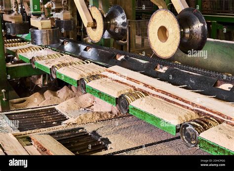 Schéma des étapes de transformation du hêtre dans une scierie moderne