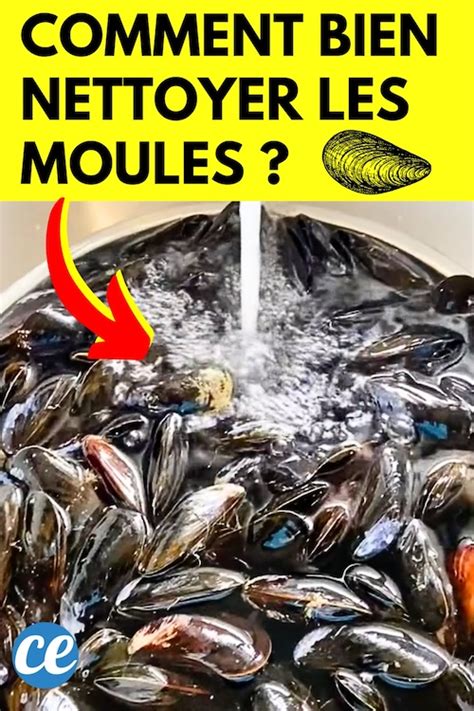 Nettoyage des moules