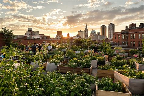 Illustration de toits végétalisés et de potagers urbains