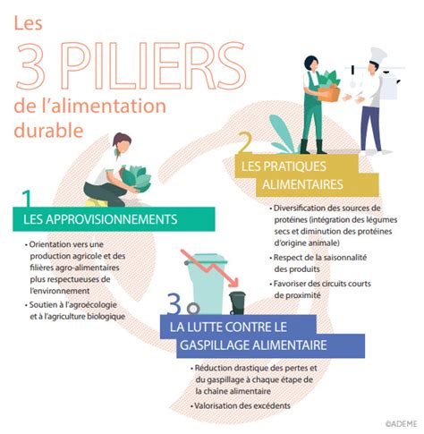 Infographie montrant les 3 piliers d'activité de Cueillette Urbaine : production, social, écoservices