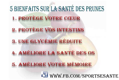 Bienfaits des prunes