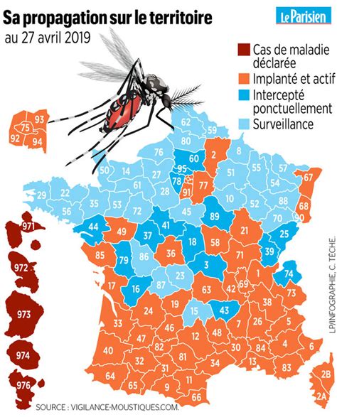 Carte des zones d'implantation du moustique tigre en France
