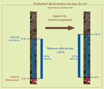 Schéma illustrant la capacité de rétention d'eau des sols argileux