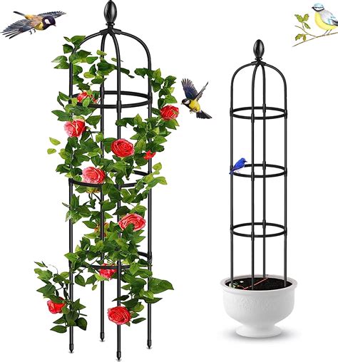 Tuteurage de plantes grimpantes