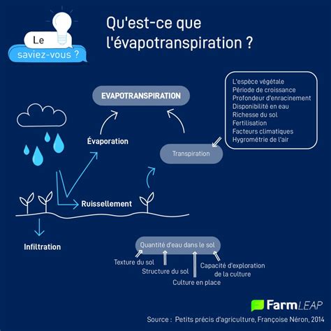 Schéma illustrant l'évapotranspiration et l'importance de l'arrosage au pied des plantes