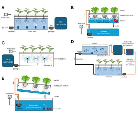 Diagramme des systèmes de ponies : culture en eau profonde, table à marées, aéroponie, aquaponie, NFT