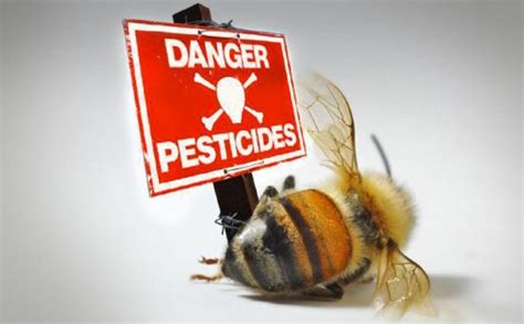 Pesticides et abeilles