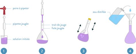 Schéma explicatif du principe de dilution homéopathique