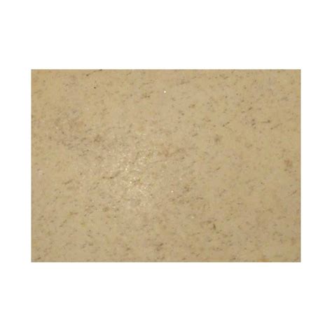 Image macro d'un fragment de coquille d'œuf montrant sa texture