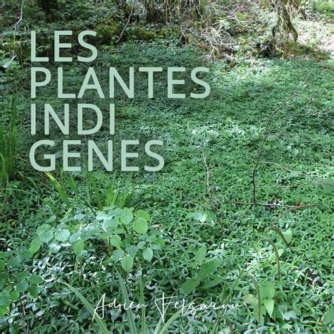 Exemple de jardin avec une majorité de plantes indigènes attirant la faune locale