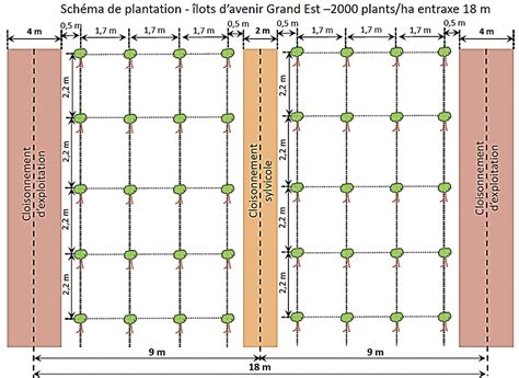 schéma de plantation en plates-bandes surélevées