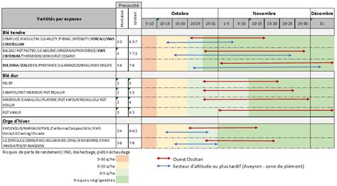 Diagramme illustrant les différentes méthodes de semis de haricots