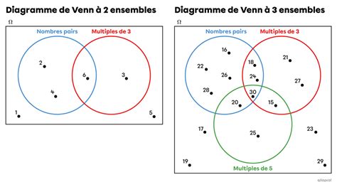 diagramme des différentes parties de l'érémurus
