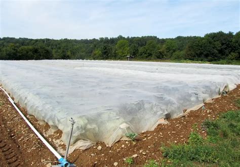 filets de protection agricoles en rouleaux