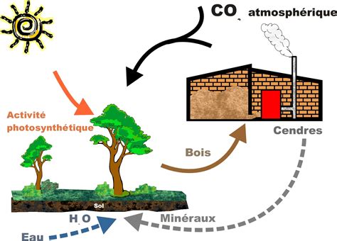 Schéma explicatif de la fertilisation organique par biomasse