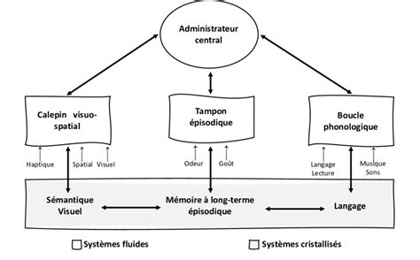 Représentation schématique des options successorales