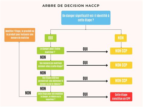 Organigramme de décision pour la succession d'un majeur protégé