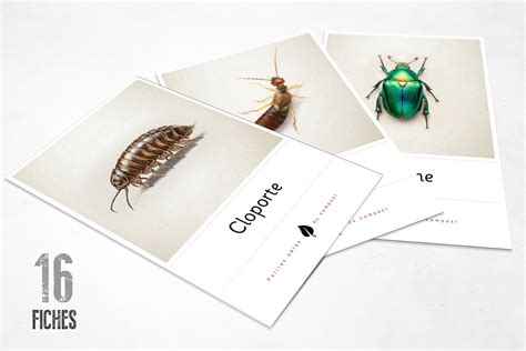 illustration des petites bêtes du compost (cloportes, vers de terre)
