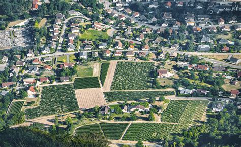 Paysage résidentiel et jardins en milieu périurbain