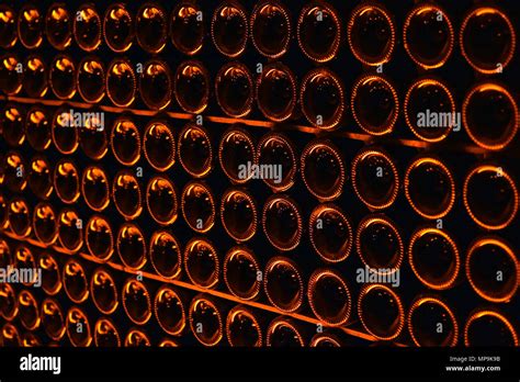 Bouteilles de champagne dans une cave