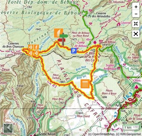 Sentier de randonnée dans la forêt de Bébour entouré de goyaviers