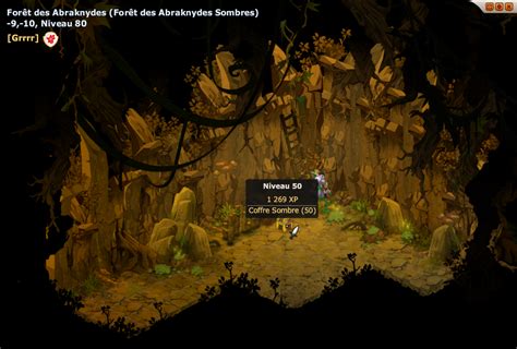 Carte de la Forêt des Abraknydes dans Dofus