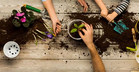 Enfants participant à un atelier de jardinage en extérieur