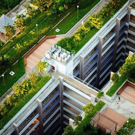 Vue aérienne d'une toiture potagère intensive en milieu urbain dense
