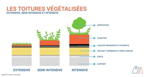 Schéma comparatif entre une toiture extensive et une toiture intensive productive